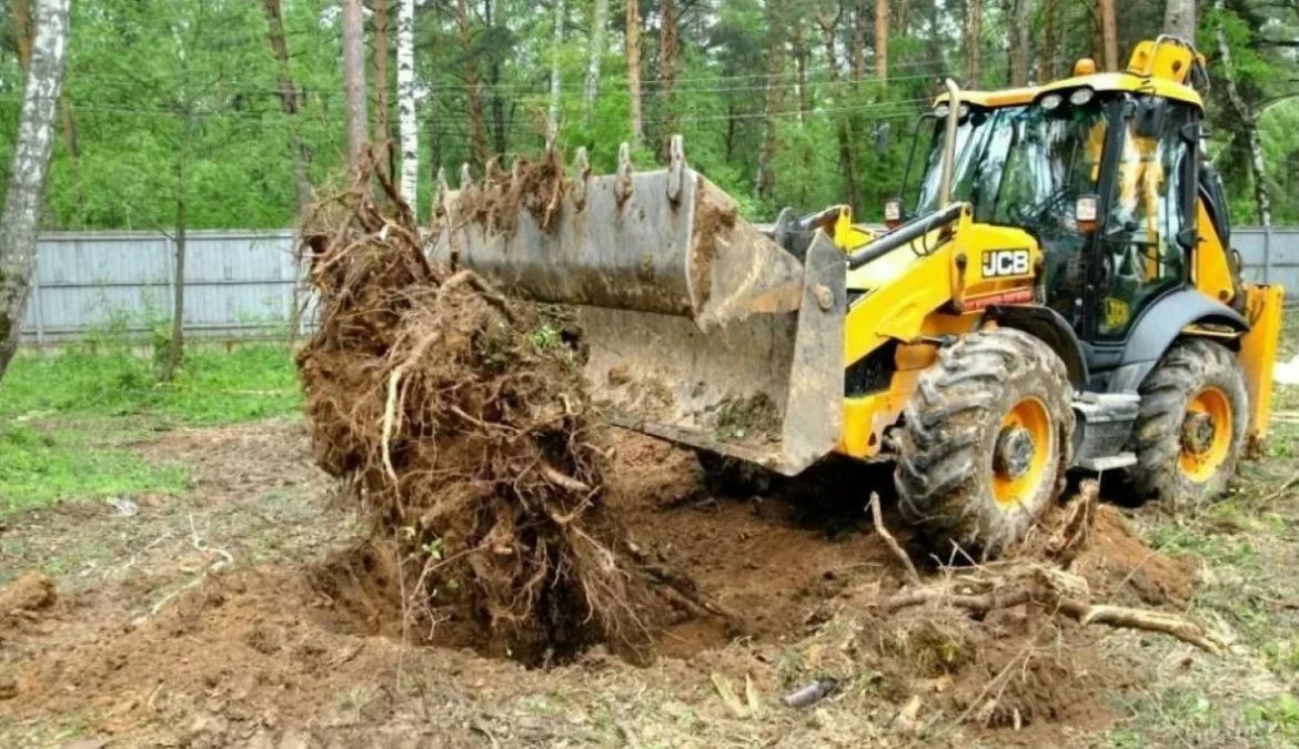 корчевание пней