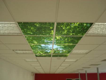 Отделка и дизайн потолка