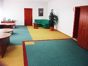 Выбор ковролина